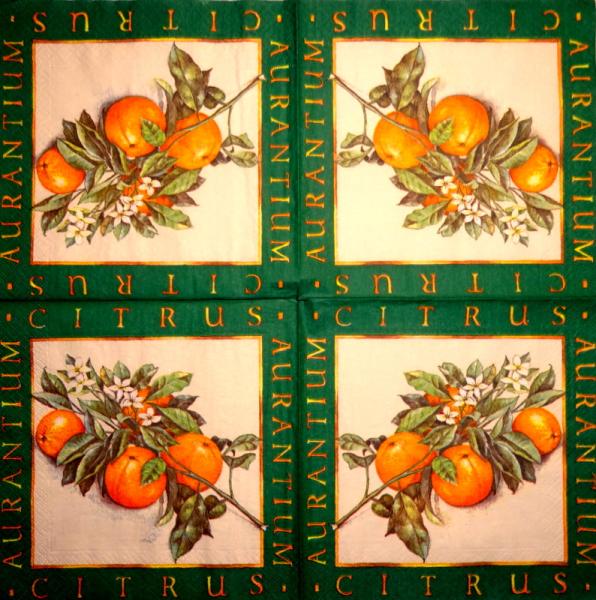 037 Lemons,  Oranges - 3-ply